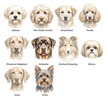 Personalized Baby Dog Name Gift • Custom Newborn Name Blanket • Baby &amp; Pet Announcement • Newborn Photo Prop • Baby Shower Gift