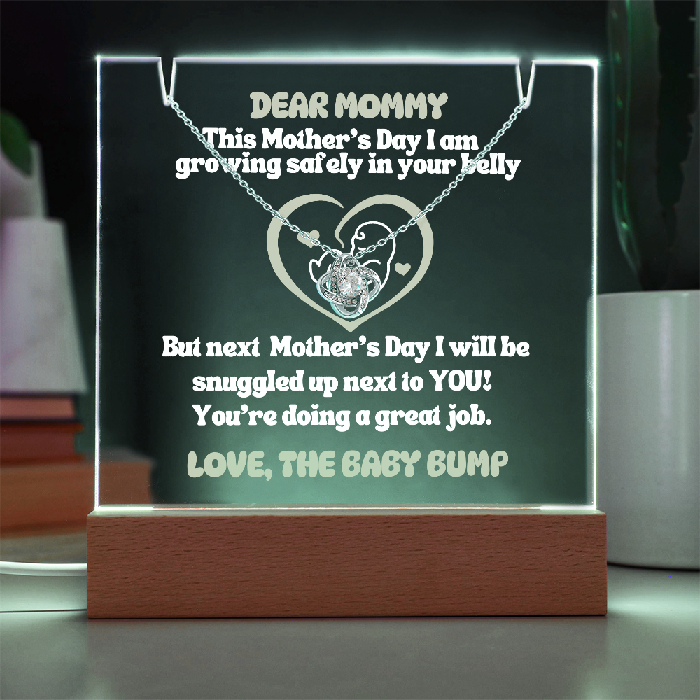 Expecting Mom Gift Personalized LED Acrylic Sign with Necklace