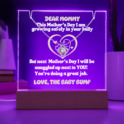 Expecting Mom Gift Personalized LED Acrylic Sign with Necklace