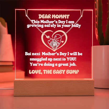 Expecting Mom Gift Personalized LED Acrylic Sign with Necklace