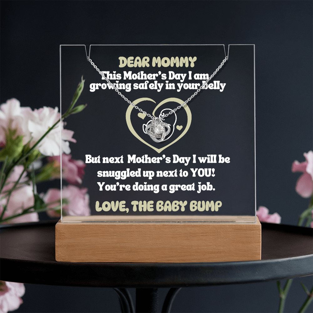 Expecting Mom Gift Personalized LED Acrylic Sign with Necklace